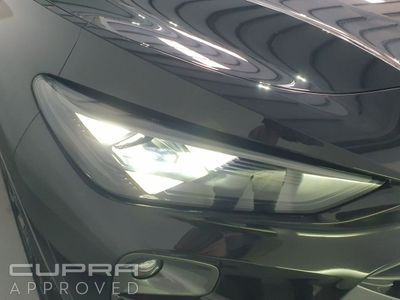 2026 Cupra Terramar