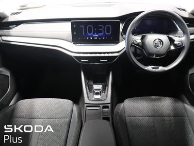 2023 Skoda Octavia