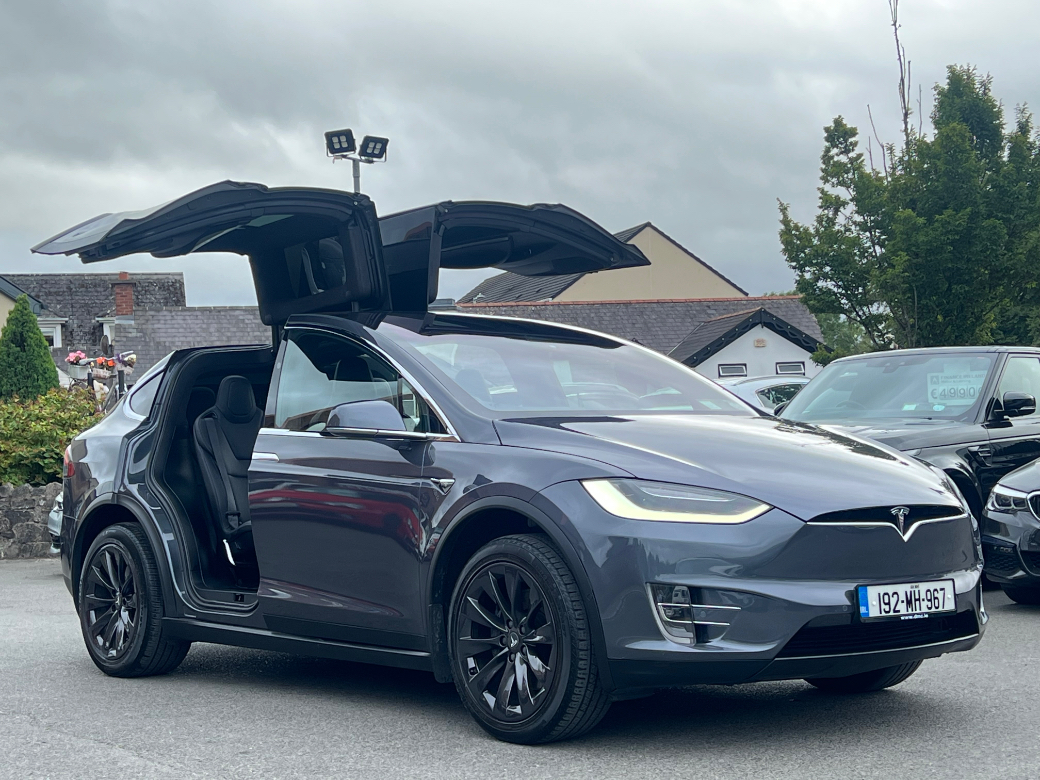 2019 Tesla Model X