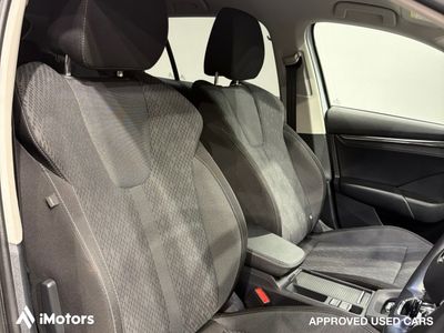 2023 Skoda Octavia