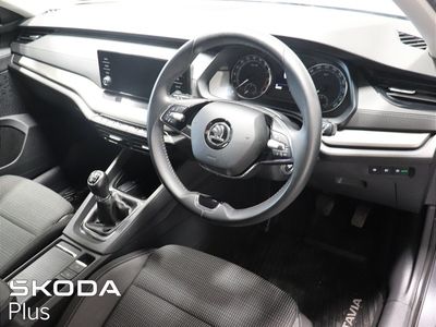 2023 Skoda Octavia