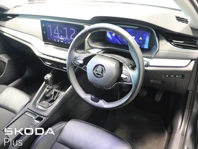 2023 Skoda Octavia