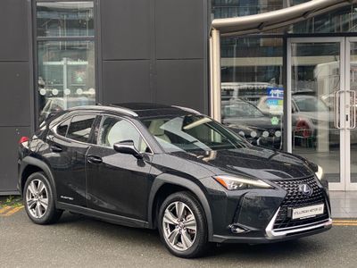 2021 Lexus UX 300e