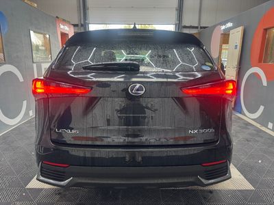 2021 Lexus NX 300h