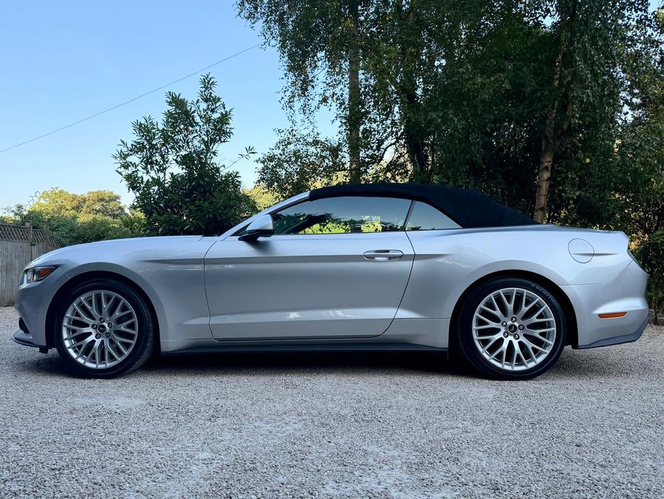 2019 Ford Mustang