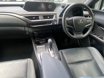 2021 Lexus UX 300e
