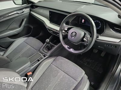 2023 Skoda Octavia