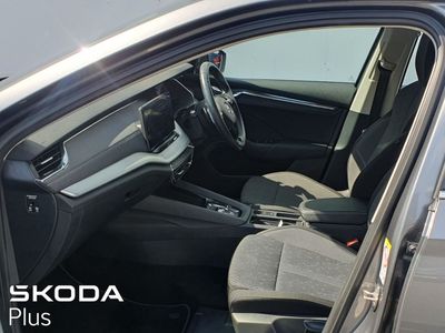 2023 Skoda Octavia
