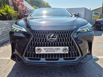 2023 Lexus NX 450H+