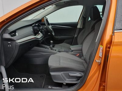 2023 Skoda Octavia