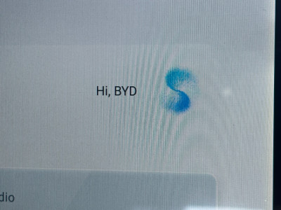 2025 BYD Atto 3