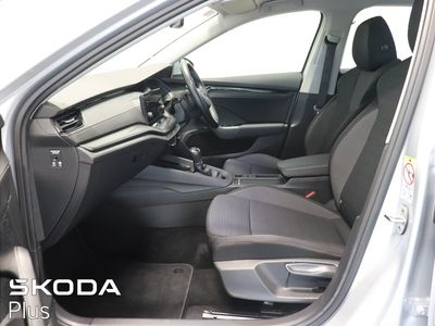 2022 Skoda Octavia