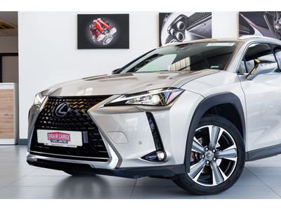 2021 Lexus UX 300e