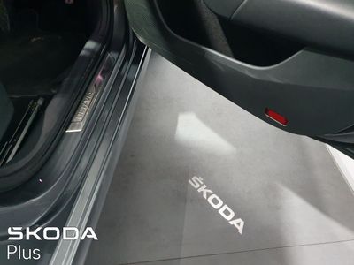 2023 Skoda Octavia