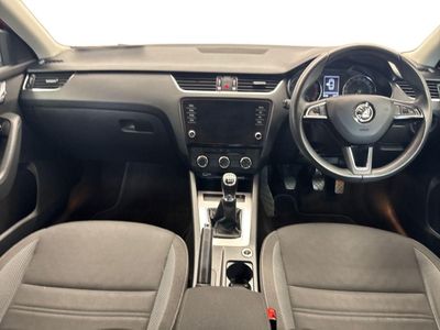 2019 Skoda Octavia
